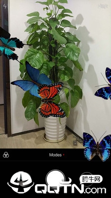 蝴蝶在手机飞舞app截图3