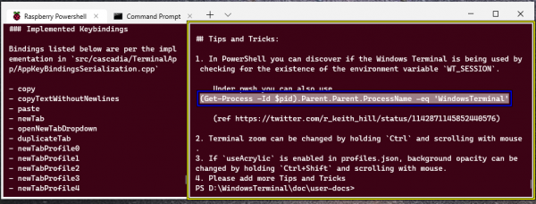 Windows Terminal(命令行终端工具)截图4